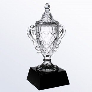 Champion's Cup